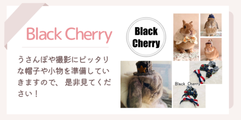 Black Cherry.png