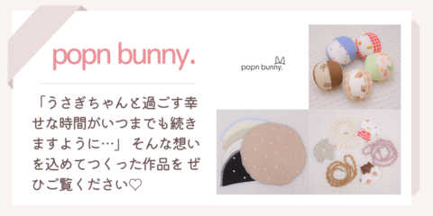 popn bunny.png